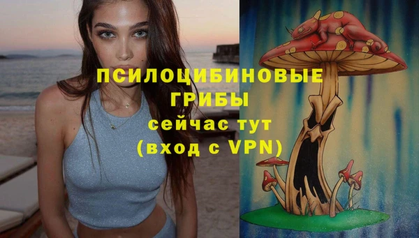альфа пвп VHQ Гусиноозёрск