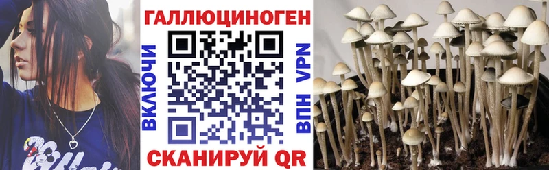 Псилоцибиновые грибы Psilocybine cubensis  даркнет сайт  Элиста 