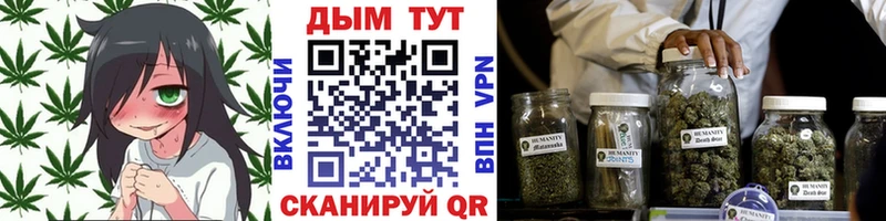 Конопля White Widow Элиста