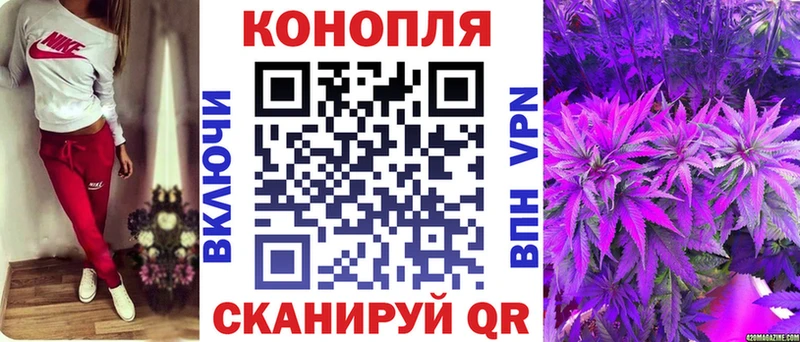 Конопля SATIVA & INDICA  Элиста 